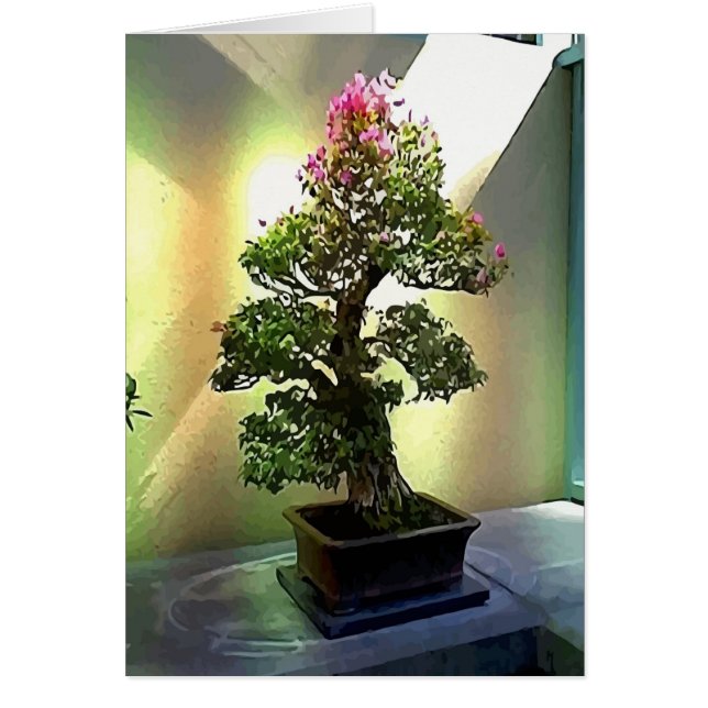 Bougainvillea Bonsai Träd Hälsningskort (Framsidan)
