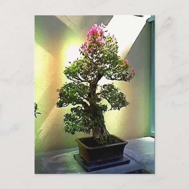 Bougainvillea Bonsai Träd Vykort (Framsida)