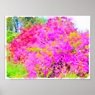 Bougainvillea bush,vattenfärgsmålning poster