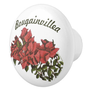 Bougainvillea Ceramic Knob Knopp