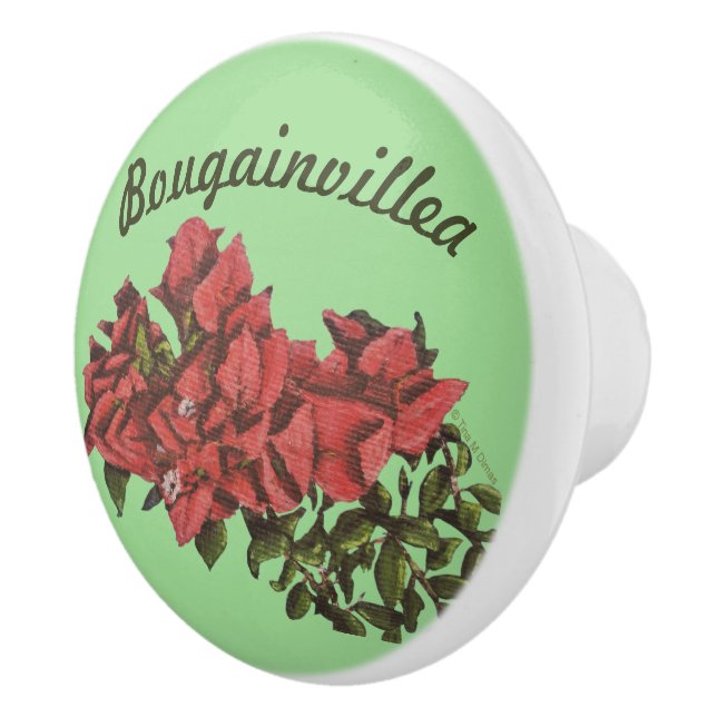 Bougainvillea Ceramic Knob Knopp (Höger)