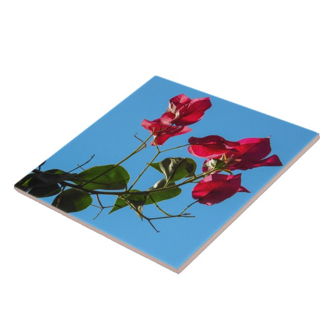 Bougainvillea Ceramic Tile Kakelplatta (Sidan)