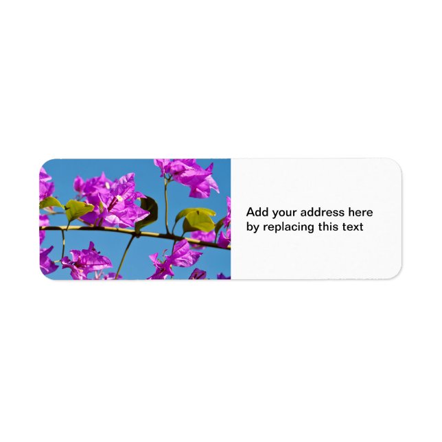 Bougainvillea Flowers Returadress Etikett (Framsidan)
