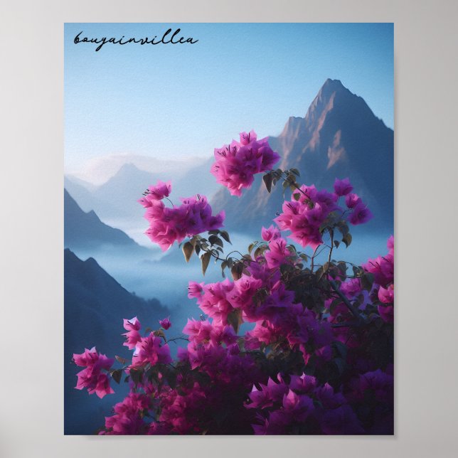 bougainvillea nature blå himmel poster (Framsidan)