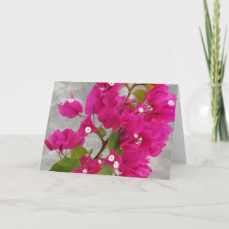 Bougainvillea Note Card Kort