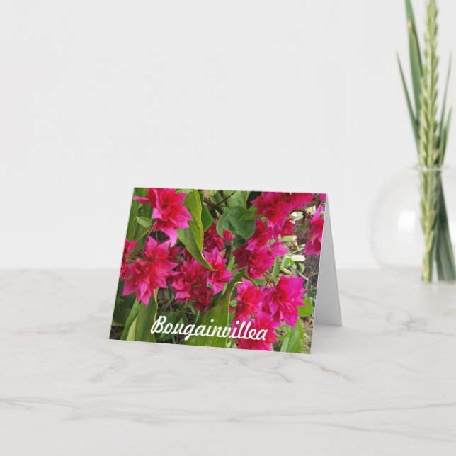 Bougainvillea Notecards Kort (Framsida)
