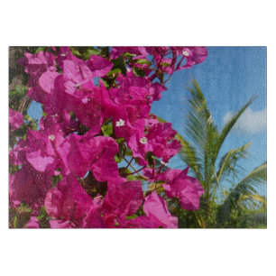 Bougainvillea och den tropiska naturområdet Handfl