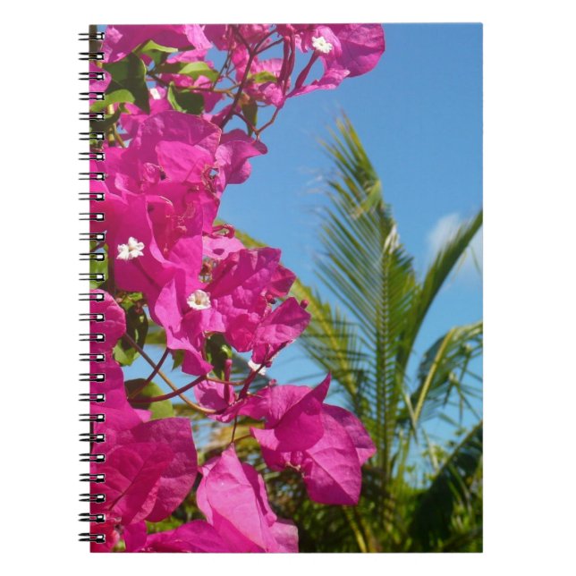 Bougainvillea och den tropiska naturområdet Handfl Anteckningsbok (Framsidan)