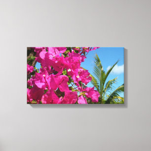 Bougainvillea och den tropiska naturområdet Handfl Canvastryck
