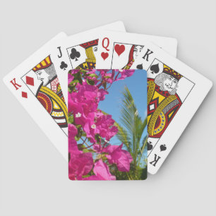 Bougainvillea och den tropiska naturområdet Handfl Casinokort