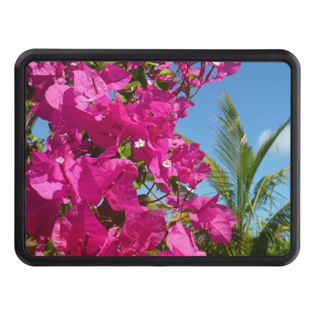 Bougainvillea och den tropiska naturområdet Handfl Dragkroksskydd (Framsidan)