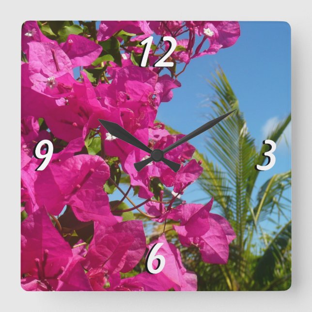 Bougainvillea och den tropiska naturområdet Handfl Fyrkantig Klocka (Framsida)
