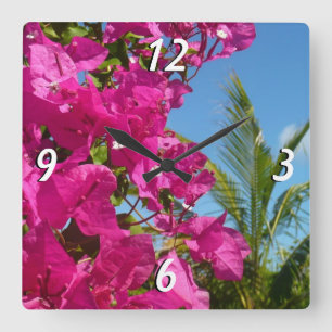 Bougainvillea och den tropiska naturområdet Handfl Fyrkantig Klocka