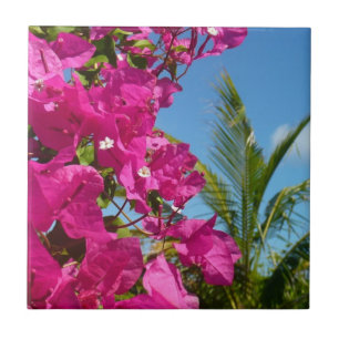 Bougainvillea och den tropiska naturområdet Handfl Kakelplatta