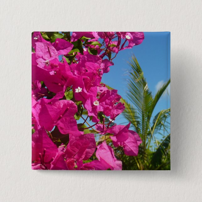 Bougainvillea och den tropiska naturområdet Handfl Knapp (Framsida)