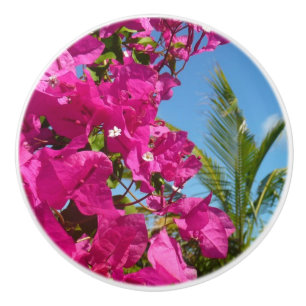 Bougainvillea och den tropiska naturområdet Handfl Knopp