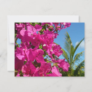 Bougainvillea och den tropiska naturområdet Handfl Kort