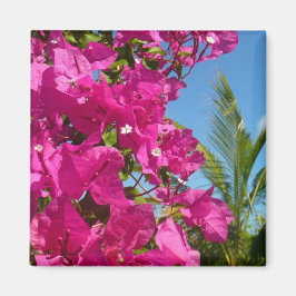 Bougainvillea och den tropiska naturområdet Handfl Magnet