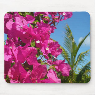 Bougainvillea och den tropiska naturområdet Handfl Musmatta