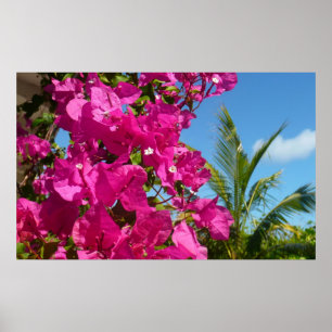 Bougainvillea och den tropiska naturområdet Handfl Poster