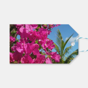 Bougainvillea och den tropiska naturområdet Handfl Presentetikett