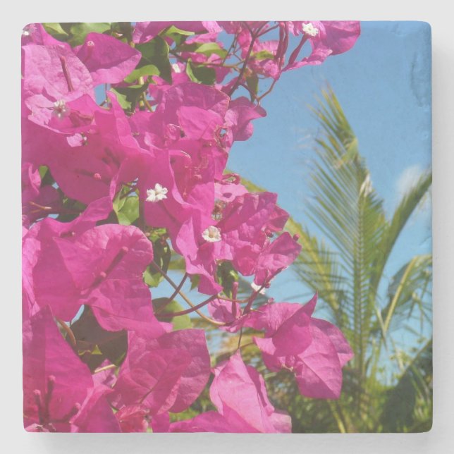 Bougainvillea och den tropiska naturområdet Handfl Stenunderlägg (Framsidan)