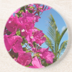 Bougainvillea och den tropiska naturområdet Handfl Underlägg