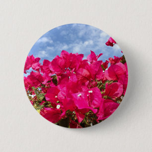 Bougainvillea och Fina Blå himmel Knapp