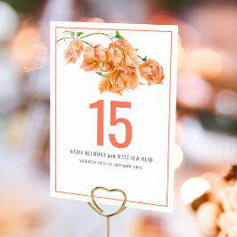 Bougainvillea papper blomkorall orange bröllop bordsnummer