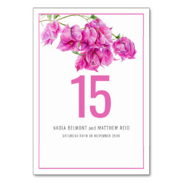 Bougainvillea papper blomma rosa bröllop eller hän bordsnummer