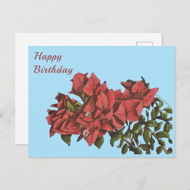 Bougainvillea Postcard Vykort (Fram/baksida)