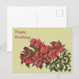 Bougainvillea Postcard Vykort