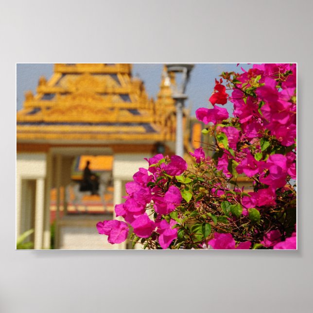 Bougainvillea Poster (Framsidan)