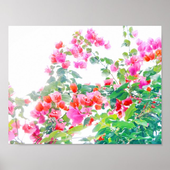 bougainvillea poster (Framsidan)