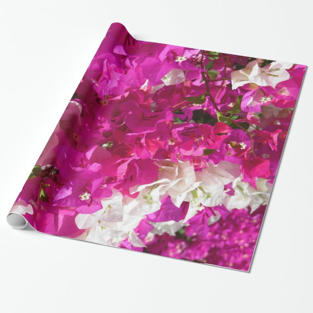 Bougainvillea Presentpapper (Utrullad)