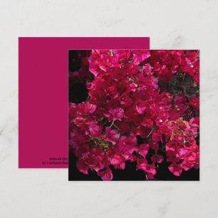 Bougainvillea Red Tropical Vining Shrub Photo Kort