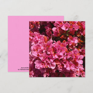 Bougainvillea Rosa Tropical Vining Shrub Photo Kort