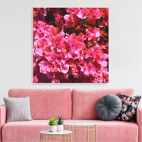 Bougainvillea Rosa Tropisk Klättrande Buske Foto