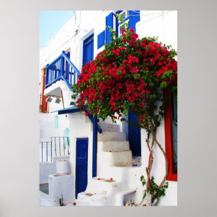 Bougainvillea utanför ett hus, Grekland AFFISCH