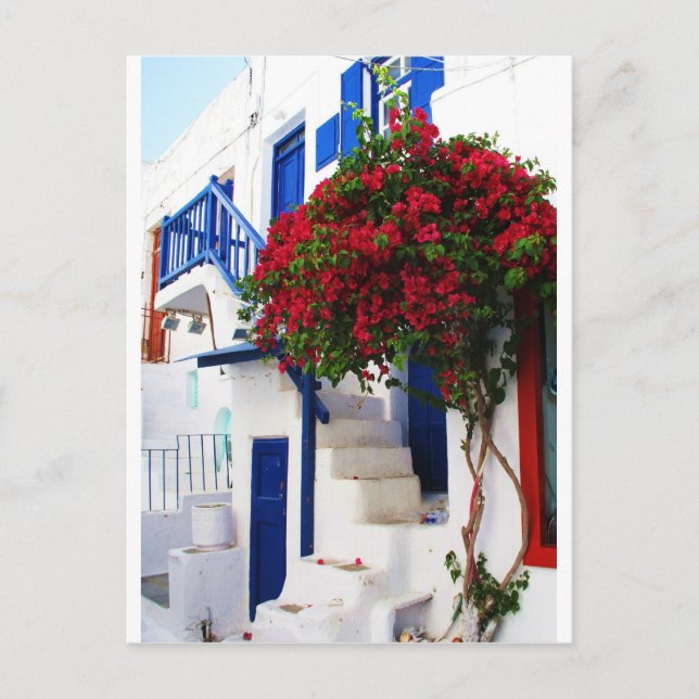 Bougainvillea växer utanför ett hus, Mykonos Vykort (Framsida)