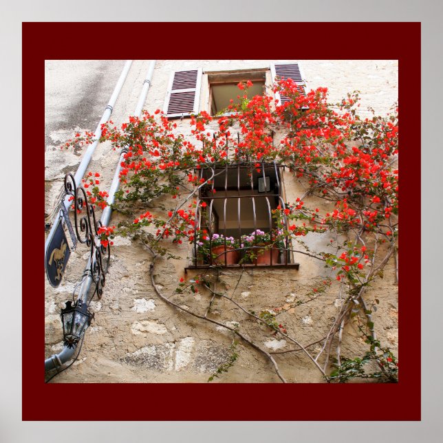 Bougainvillea vid Window Poster (Framsidan)