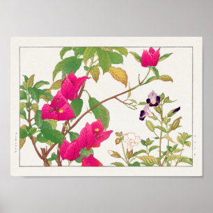 Bougainvillea, Wishbone-blomman av Tanigami Konan Poster