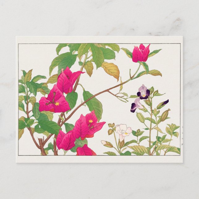 Bougainvillea, Wishbone-blomman av Tanigami Konan Vykort (Framsida)