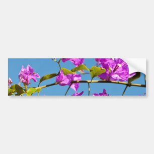 Bougainvilleablommor Bildekal