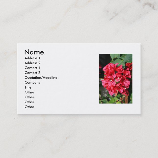Bougainvilleaen blommar visitkorten visitkort (Framsida)