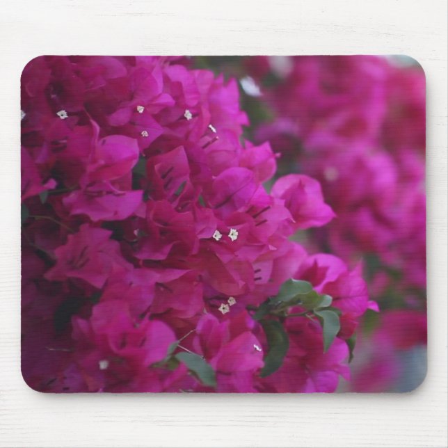 bougainvilleamousepad musmatta (Framsidan)