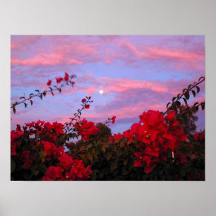 Bougainvilleas och fullmåne på solnedgången poster