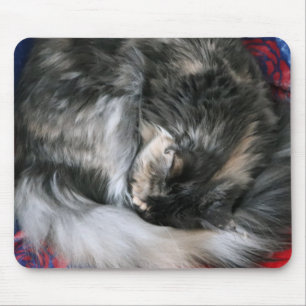 Bouge Kattunge Musmatta