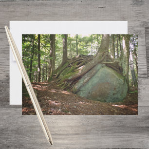 Boulder och rötter – Naturens motståndskraft Foto Anteckningskort