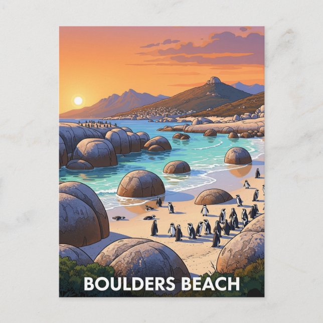 Boulders Beach Penguins South Afrika Travel Vykort (Framsida)